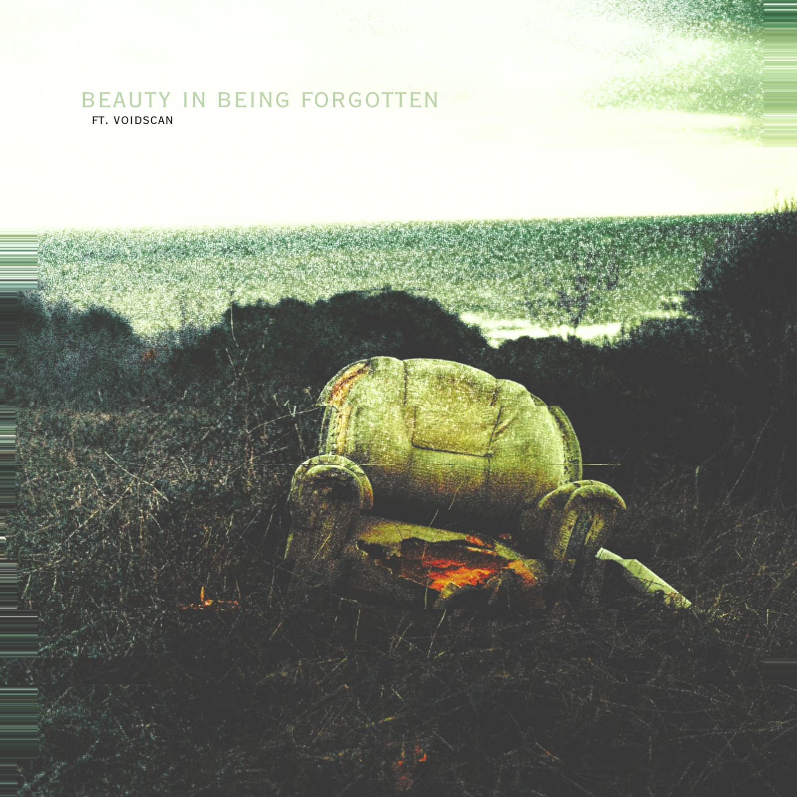 beauty in being forgotten – 1